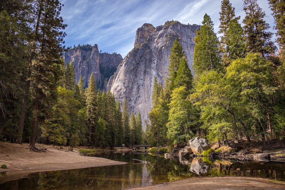 Nature Photo
